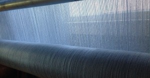 Early morning light through the warp threads.